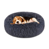 PET BED