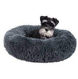 PET BED